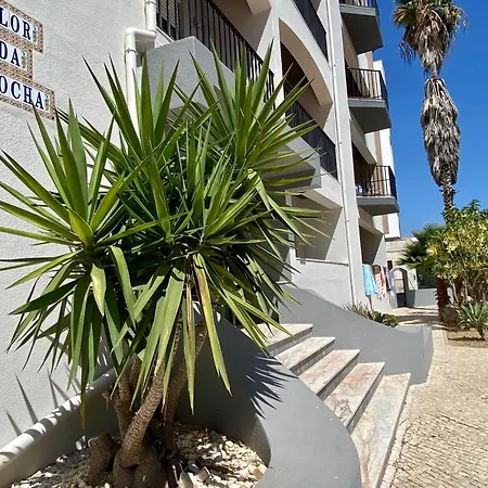 Flor Da Rocha By Coral Apartment *